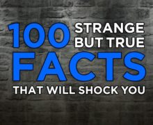 Cinegiornale.net strange-but-true-220x180 Strange But True News Trailers  