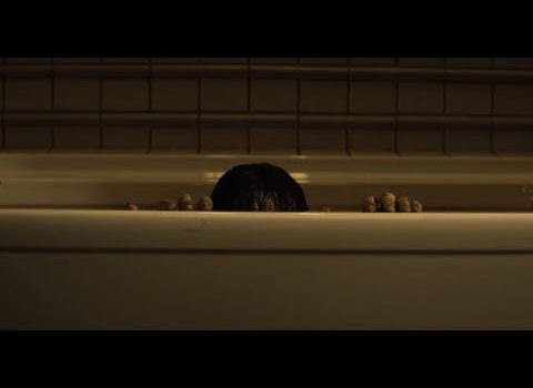 Cinegiornale.net the-grudge-il-trailer-italiano-del-terrificante-horror-di-nicolas-pesce-480x350 The Grudge, il trailer italiano del terrificante horror di Nicolas Pesce Cinema News  