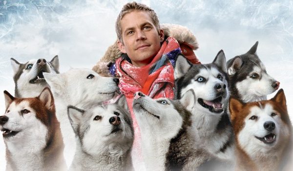 Cinegiornale.net 5-film-da-vedere-con-il-proprio-cane-a-natale-600x350 5 film da vedere con il proprio cane a Natale Cinema News  
