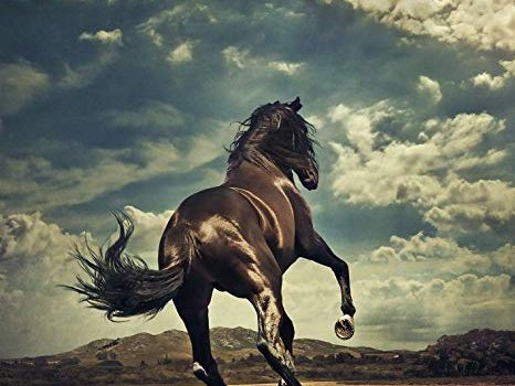 Cinegiornale.net western-stars-466x350 Western Stars News Trailers  