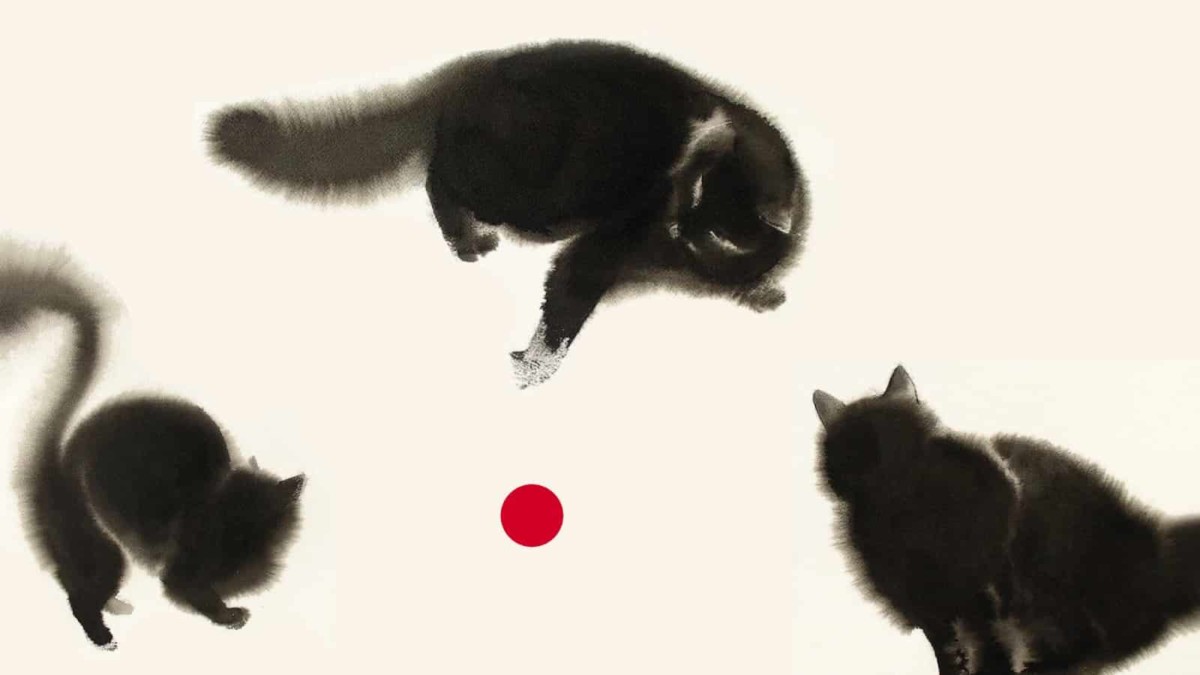 Se I Gatti Scomparissero Dal Mondo Film