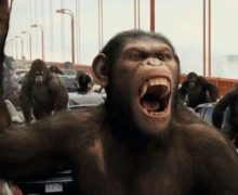 Cinegiornale.net lalba-del-pianeta-delle-scimmie-il-film-in-tendenze-su-twitter-a-causa-di-un-curioso-furto-in-india-220x180 L’Alba del Pianeta delle Scimmie: il film in tendenze su Twitter a causa di un curioso furto in India News  