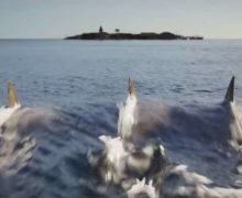 Cinegiornale.net deep-blue-sea-3-ecco-il-trailer-del-terzo-capitolo-della-saga-sugli-squali-assassini-220x180 Deep Blue Sea 3: ecco il trailer del terzo capitolo della saga sugli squali assassini News  