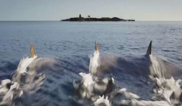 Cinegiornale.net deep-blue-sea-3-ecco-il-trailer-del-terzo-capitolo-della-saga-sugli-squali-assassini-600x350 Deep Blue Sea 3: ecco il trailer del terzo capitolo della saga sugli squali assassini News  