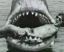 Cinegiornale.net lo-squalo-il-film-di-steven-spielberg-compie-45-anni-220x180 Lo Squalo | Il film di Steven Spielberg compie 45 anni Cinema News  