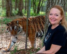 Cinegiornale.net tiger-king-carole-baskin-ha-ottenuto-il-controllo-dello-zoo-di-joe-exotic-220x180 Tiger King: Carole Baskin ha ottenuto il controllo dello zoo di Joe Exotic News  