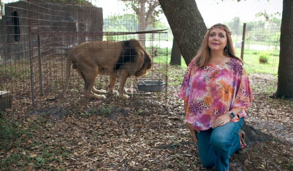 Cinegiornale.net joe-exotic-kate-mckinnon-sara-carole-baskin-nella-serie-600x350 Joe Exotic | Kate McKinnon sarà Carole Baskin nella serie News  