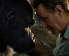 Cinegiornale.net lunico-e-insuperabile-ivan-il-trailer-italiano-del-film-in-arrivo-su-disney-220x180 L’unico e insuperabile Ivan: il trailer italiano del film in arrivo su Disney+ News  