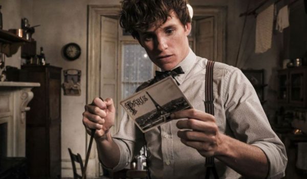 Cinegiornale.net animali-fantastici-3-la-nuova-normalita-di-eddie-redmayne-600x350 Animali Fantastici 3: la nuova normalità di Eddie Redmayne Cinema News  