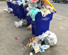 Cinegiornale.net trash-220x180 Trash Cinema News Trailers  