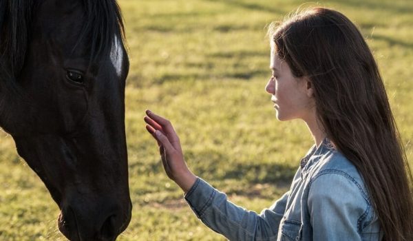 Cinegiornale.net black-beauty-ecco-il-trailer-del-film-in-arrivo-su-disney-600x350 Black Beauty: ecco il trailer del film in arrivo su Disney+ News  
