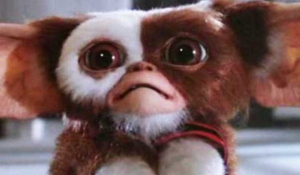 Cinegiornale.net gremlins-chris-columbus-conferma-lo-script-del-terzo-film-600x350 Gremlins: Chris Columbus conferma lo script del terzo film Cinema News  