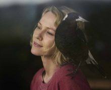 Cinegiornale.net penguin-bloom-nuovo-trailer-del-film-con-naomi-watts-e-andrew-lincoln-220x180 Penguin Bloom: nuovo trailer del film con Naomi Watts e Andrew Lincoln News  