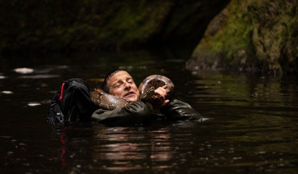 Cinegiornale.net scuola-di-sopravvivenza-missione-safari-il-trailer-del-film-interattivo-con-bear-grylls-600x350 Scuola di sopravvivenza: Missione safari – il trailer del film interattivo con Bear Grylls News  