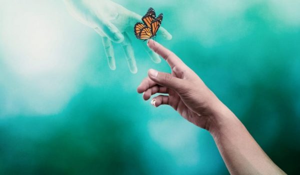 Cinegiornale.net surviving-death-il-primo-trailer-della-docuserie-netflix-che-indaga-sullaldila-600x350 Surviving Death: il primo trailer della docuserie Netflix che indaga sull’aldilà News  