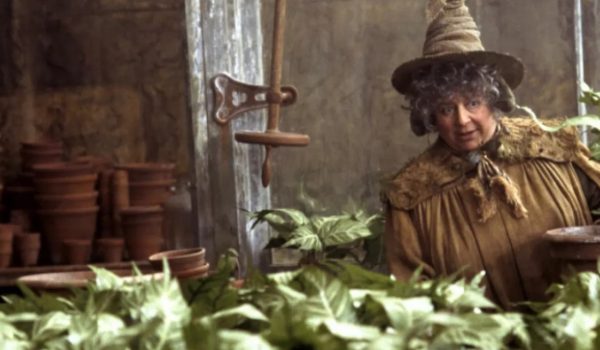 Cinegiornale.net harry-potter-quiz-che-voto-prenderesti-in-erbologia-600x350 Harry Potter Quiz: che voto prenderesti in Erbologia? News  
