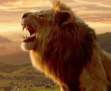 Cinegiornale.net mufasa-il-re-leone-un-doppiatore-svela-alcuni-retroscena-su-scar-uno-dei-giovani-leoni-piu-dolci-220x180 Mufasa: Il Re Leone, un doppiatore svela alcuni retroscena su Scar: “Uno dei giovani leoni più dolci” News  