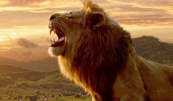 Cinegiornale.net mufasa-il-re-leone-un-doppiatore-svela-alcuni-retroscena-su-scar-uno-dei-giovani-leoni-piu-dolci-600x350 Mufasa: Il Re Leone, un doppiatore svela alcuni retroscena su Scar: “Uno dei giovani leoni più dolci” News  