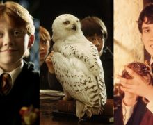 Cinegiornale.net harry-potter-quiz-quale-animale-porteresti-ad-hogwarts-220x180 Harry Potter Quiz: quale animale porteresti ad Hogwarts? News  