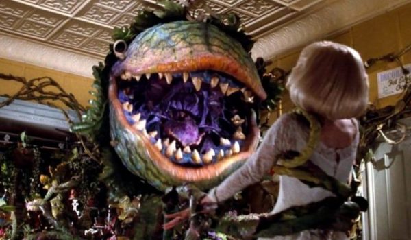 Cinegiornale.net la-piccola-bottega-degli-orrori-arriva-il-remake-600x350 La piccola bottega degli orrori, arriva il remake? Cinema News  