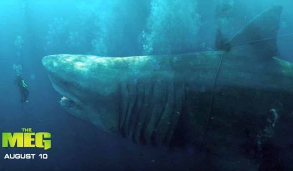 Cinegiornale.net shark-2-labisso-e-stato-rilasciato-il-trailer-ufficiale-del-film-600x350 Shark 2 – L’Abisso: è stato rilasciato il trailer ufficiale del film News  