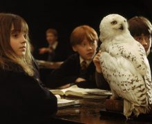Cinegiornale.net harry-potter-quiz-con-quale-studente-di-hogwarts-stringeresti-subito-amicizia-220x180 Harry Potter Quiz: con quale studente di Hogwarts stringeresti subito amicizia? News  