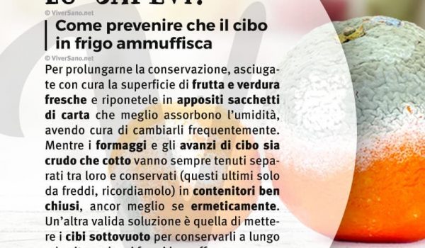 Cinegiornale.net cosa-succede-se-mangi-la-muffa-600x350 Cosa succede se mangi la muffa? News  