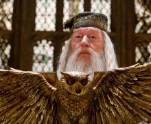 Cinegiornale.net harry-potter-quiz-diventeresti-preside-di-hogwarts-220x180 Harry Potter Quiz: diventeresti preside di Hogwarts? News  