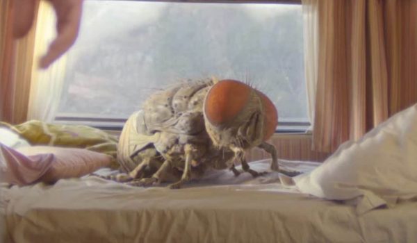 Cinegiornale.net mandibles-il-trailer-della-folle-commedia-di-quentin-dupieux-600x350 Mandibles: il trailer della folle commedia di Quentin Dupieux News  
