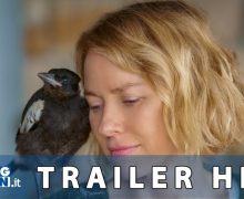 Cinegiornale.net penguin-bloom-il-trailer-italiano-del-film-con-naomi-watts-220x180 Penguin Bloom: il trailer italiano del film con Naomi Watts News  