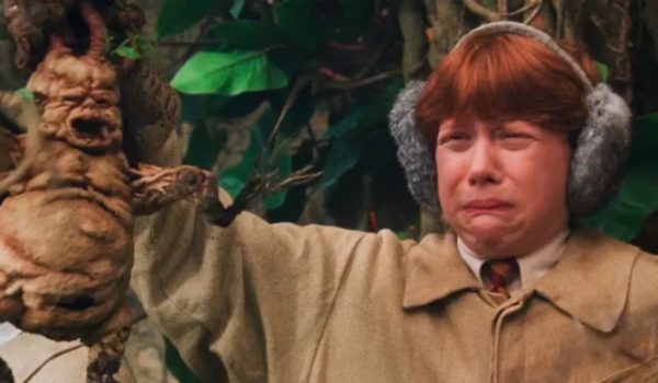 Cinegiornale.net quiz-harry-potter-di-quale-famiglia-magica-faresti-parte-600x350 Quiz Harry Potter: di quale famiglia magica faresti parte? News  
