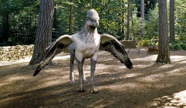 Cinegiornale.net quiz-harry-potter-in-quale-film-della-saga-hermione-compie-questa-azione-1-600x350 Quiz Harry Potter: in quale film della saga Hermione compie questa azione? News  