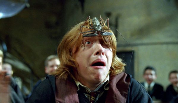 Cinegiornale.net quiz-harry-potter-quanto-conosci-i-gemelli-weasley-600x350 Quiz Harry Potter: quanto conosci i gemelli Weasley? News  