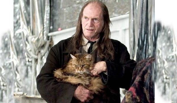 Cinegiornale.net quiz-harry-potter-ricordi-il-nome-degli-attori-600x350 Quiz Harry Potter: ricordi il nome degli attori? News  