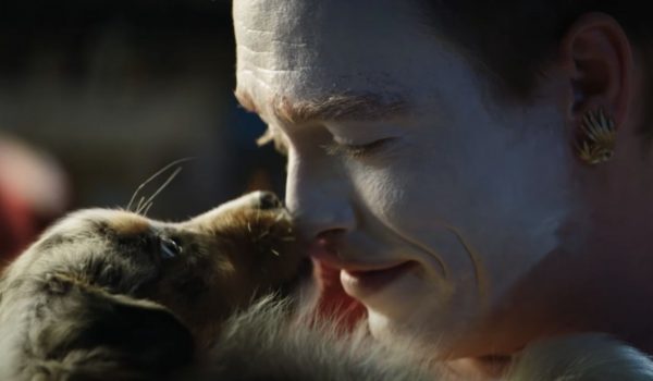 Cinegiornale.net dogman-ovunque-ci-sia-un-infelice-dio-invia-un-cane-la-recensione-del-film-di-luc-besson-600x350 Dogman: ovunque ci sia un infelice, Dio invia un cane. La recensione del film di Luc Besson News Recensioni Trailers  