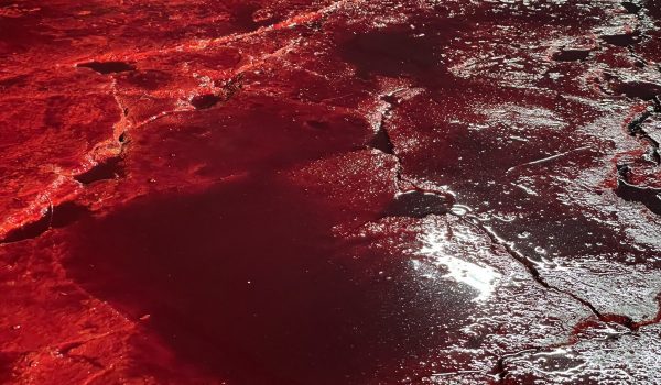 Cinegiornale.net evil-dead-rise-un-lago-di-sangue-nella-nuova-foto-dal-set-600x350 Evil Dead Rise: un lago di sangue nella nuova foto dal set News  