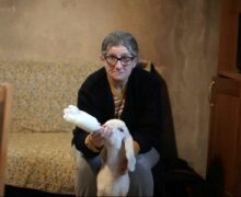 Cinegiornale.net laceno-doro-international-film-festival-vince-il-film-italiano-la-distanza-del-collettivo-enece-film-220x180 Laceno d’oro International Film Festival: vince il film italiano La distanza del collettivo ENECE FILM News  