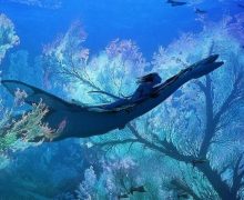 Cinegiornale.net avatar-2-la-prima-immagine-del-sequel-diretto-da-james-cameron-220x180 Avatar 2: la prima immagine del sequel diretto da James Cameron News  
