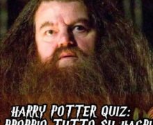 Cinegiornale.net harry-potter-quiz-sai-proprio-tutto-su-hagrid-220x180 Harry Potter Quiz: sai proprio tutto su Hagrid? News  
