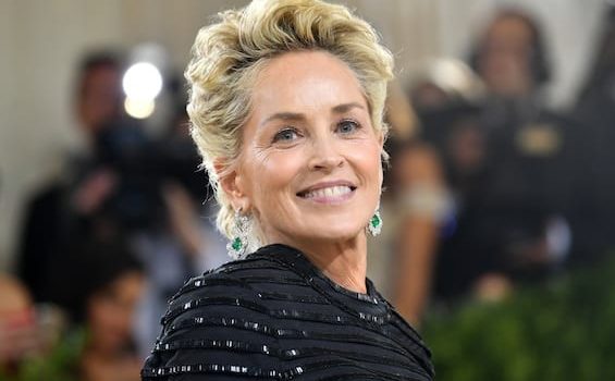 Cinegiornale.net the-flight-attendant-2-sharon-stone-entra-nel-cast-della-serie-565x350 The Flight Attendant 2: Sharon Stone entra nel cast della serie News  