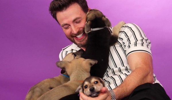 Cinegiornale.net chris-evans-lintervista-in-mezzo-ai-cuccioli-per-luscita-di-lightyear-e-irresistibile-video-600x350 Chris Evans: l’intervista in mezzo ai cuccioli per l’uscita di Lightyear è irresistibile! [VIDEO] News  