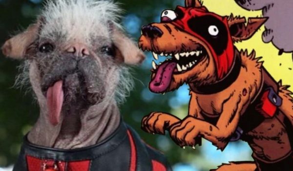 Cinegiornale.net deadpool-3-la-nuova-foto-di-dogpool-il-cagnolino-che-sara-presente-nel-film-600x350 Deadpool 3: la nuova foto di Dogpool, il cagnolino che sarà presente nel film News  