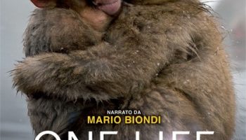 Cinegiornale.net one-life-350x200 Home  