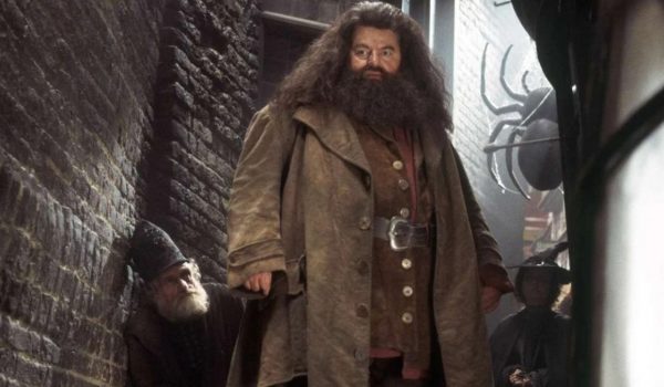 Cinegiornale.net quiz-harry-potter-quanto-conosci-hagrid-600x350 Quiz Harry Potter: quanto conosci Hagrid? News  