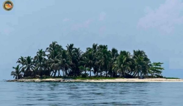 Cinegiornale.net lisola-dei-famosi-nuova-conduttrice-il-provino-conquista-tutti-notizia-clamorosa-600x350 L’Isola dei Famosi nuova conduttrice, il provino conquista tutti | Notizia clamorosa Gossip News  
