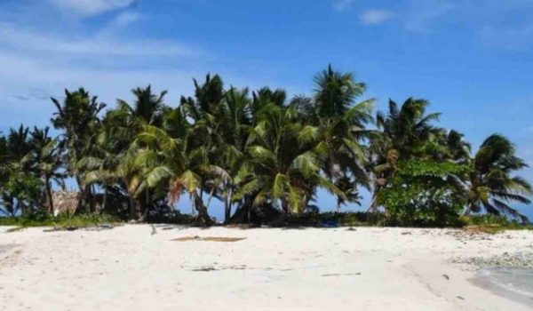 Cinegiornale.net lisola-dei-famosi-oltreoceano-ecco-chi-e-lamericano-fidanzato-con-lex-naufrago-3-600x350 L’Isola dei Famosi oltreoceano: ecco chi è l’americano fidanzato con l’ex naufrago Gossip News  