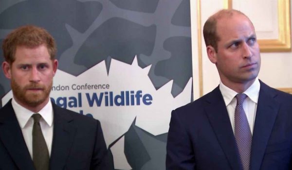 Cinegiornale.net perche-harry-e-william-non-parlano-piu-tutta-la-verita-retroscena-inaspettato-600x350 Perchè Harry e William non parlano più: tutta la verità | Retroscena inaspettato Gossip News  