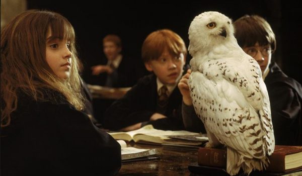 Cinegiornale.net quiz-harry-potter-diventeresti-auror-600x350 Quiz Harry Potter: diventeresti Auror? News  