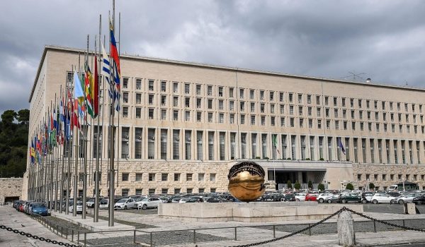 Cinegiornale.net maeci-bando-2024-per-incentivi-traduzione-e-doppiaggio-sottotitolatura-scadenza-domande-24-4-2024-600x350 MAECI – Bando 2024 per incentivi traduzione e doppiaggio/sottotitolatura – Scadenza domande 24/4/2024 News  