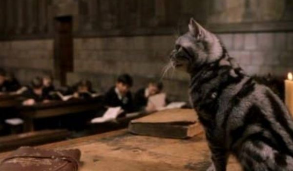 Cinegiornale.net quiz-harry-potter-in-quale-casa-verrebbe-smistato-il-tuo-animale-magico-600x350 Quiz Harry Potter: in quale casa verrebbe smistato il tuo animale magico? News  